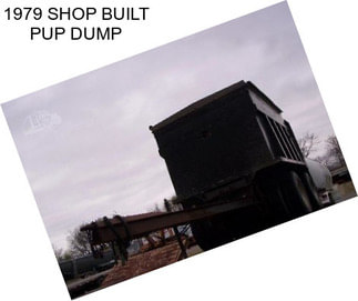 1979 SHOP BUILT PUP DUMP