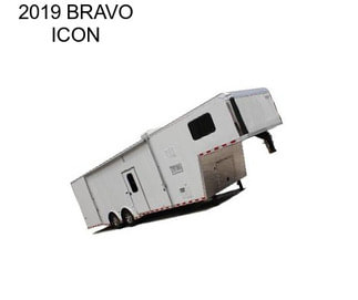 2019 BRAVO ICON