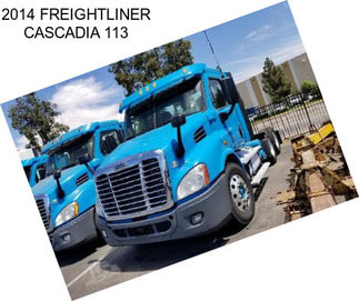 2014 FREIGHTLINER CASCADIA 113