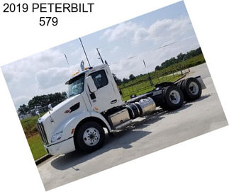 2019 PETERBILT 579