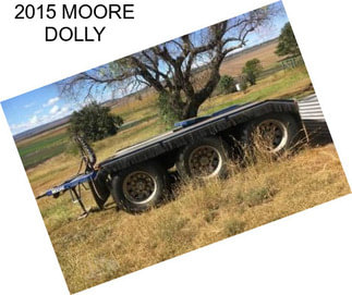 2015 MOORE DOLLY