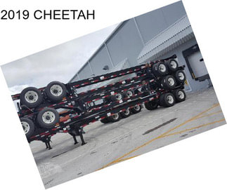 2019 CHEETAH