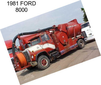 1981 FORD 8000