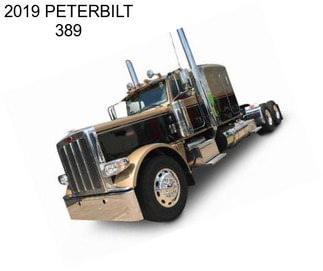 2019 PETERBILT 389