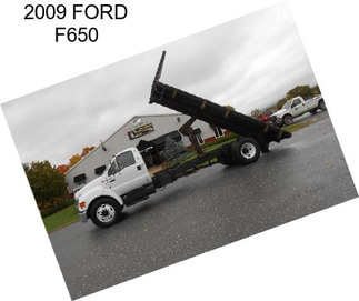 2009 FORD F650