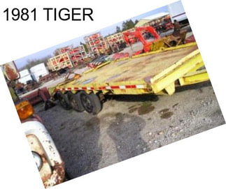 1981 TIGER