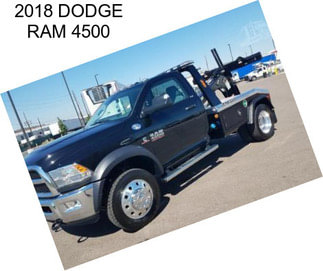 2018 DODGE RAM 4500