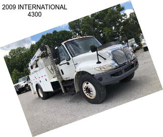 2009 INTERNATIONAL 4300