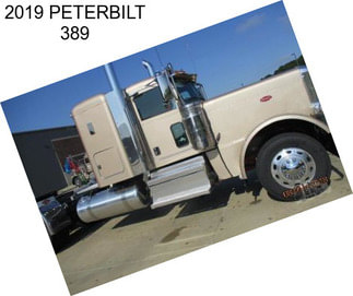 2019 PETERBILT 389