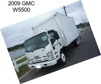 2009 GMC W5500