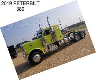 2019 PETERBILT 389