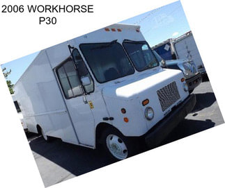 2006 WORKHORSE P30