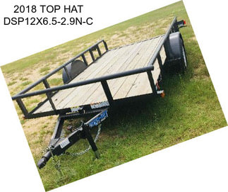 2018 TOP HAT DSP12X6.5-2.9N-C