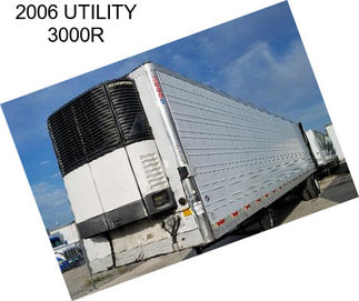 2006 UTILITY 3000R