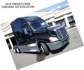 2014 FREIGHTLINER CASCADIA 125 EVOLUTION