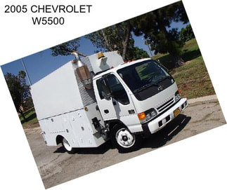 2005 CHEVROLET W5500