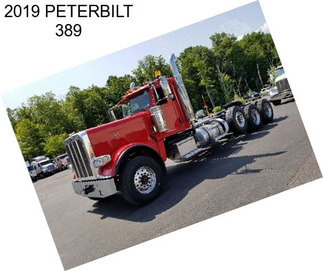 2019 PETERBILT 389