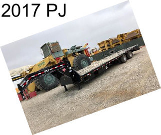 2017 PJ