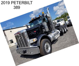 2019 PETERBILT 389