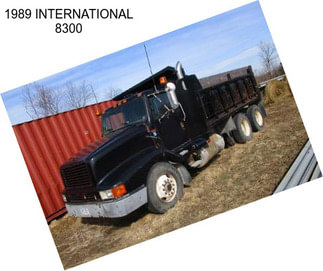 1989 INTERNATIONAL 8300