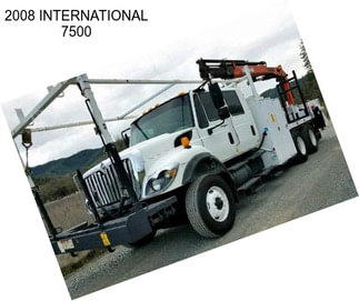 2008 INTERNATIONAL 7500