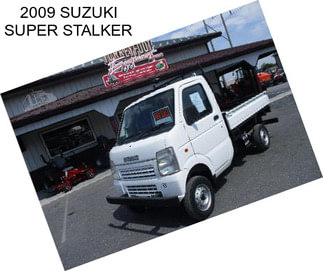 2009 SUZUKI SUPER STALKER