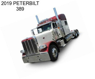 2019 PETERBILT 389