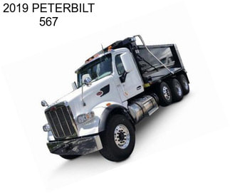 2019 PETERBILT 567