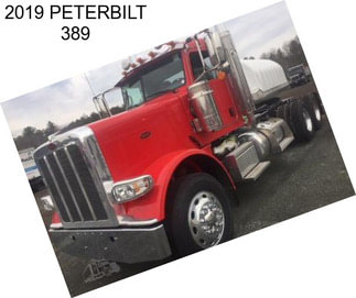 2019 PETERBILT 389