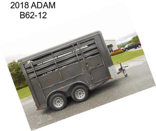 2018 ADAM B62-12