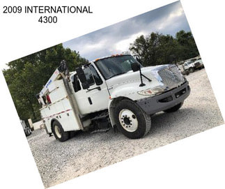 2009 INTERNATIONAL 4300