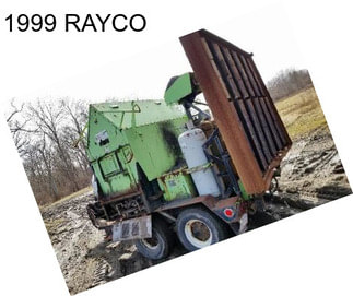 1999 RAYCO