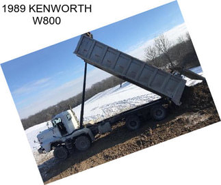 1989 KENWORTH W800