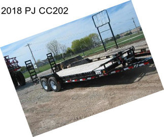 2018 PJ CC202