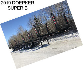 2019 DOEPKER SUPER B