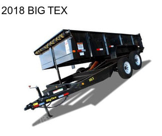 2018 BIG TEX