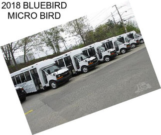 2018 BLUEBIRD MICRO BIRD