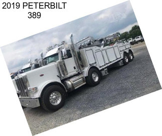 2019 PETERBILT 389