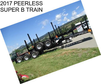 2017 PEERLESS SUPER B TRAIN