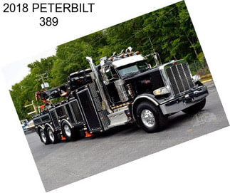 2018 PETERBILT 389