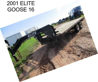 2001 ELITE GOOSE 16