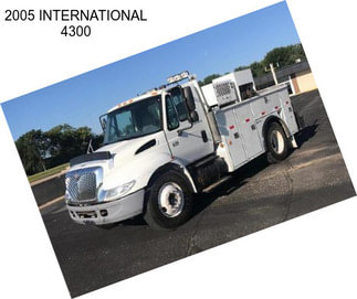 2005 INTERNATIONAL 4300