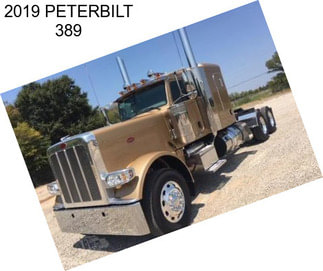 2019 PETERBILT 389