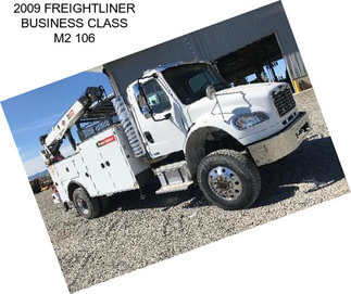 2009 FREIGHTLINER BUSINESS CLASS M2 106