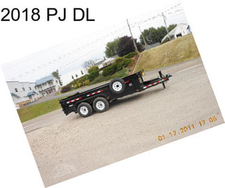 2018 PJ DL