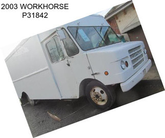 2003 WORKHORSE P31842