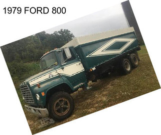 1979 FORD 800