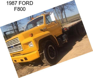 1987 FORD F800