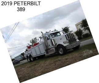 2019 PETERBILT 389