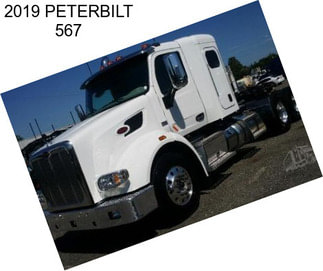 2019 PETERBILT 567